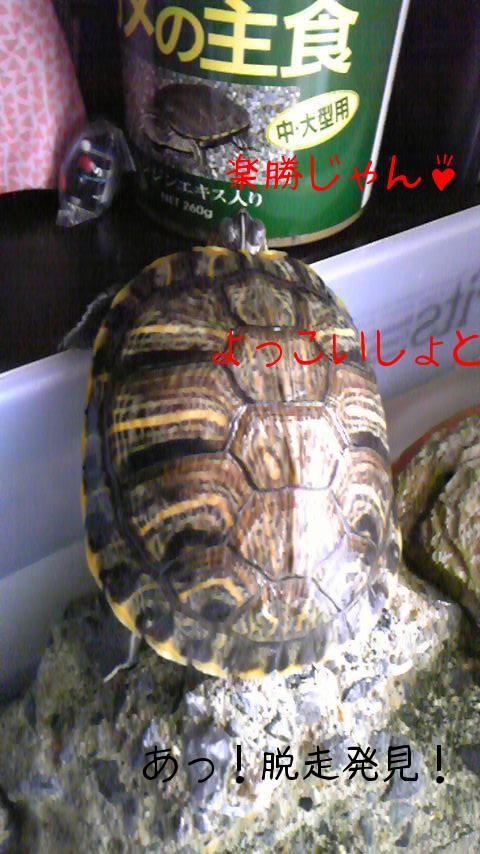 2010-05-10 14:21:59