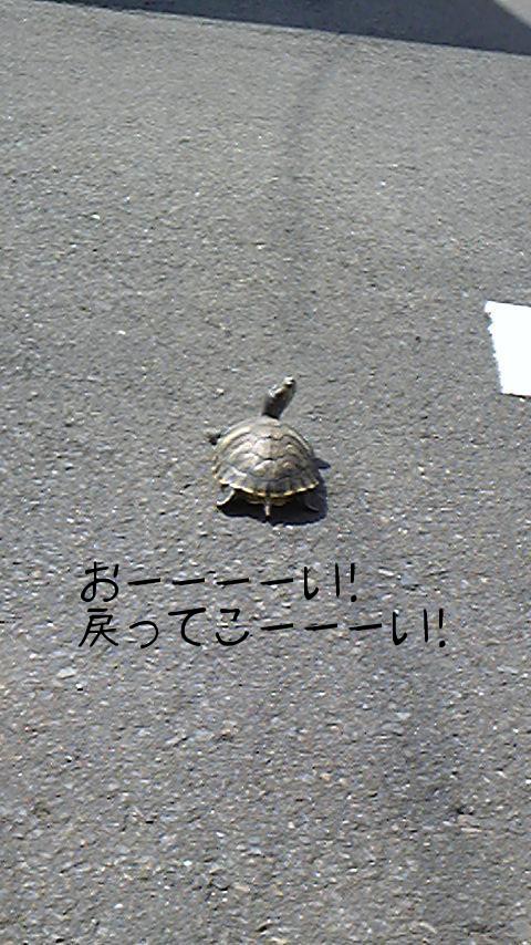2010-08-24 14:36:34