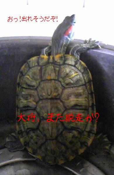 2010-06-20 16:37:33