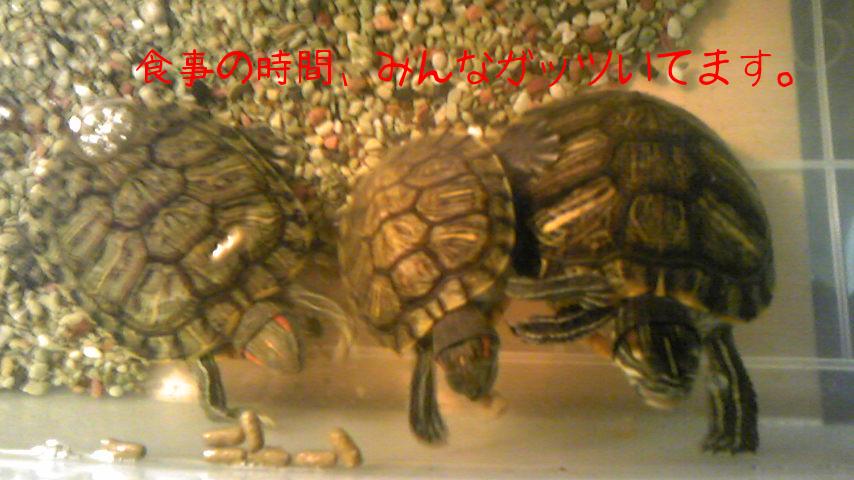 2010-05-20 20:51:44