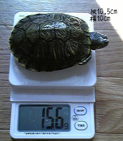 2010-08-18 15:42:45
