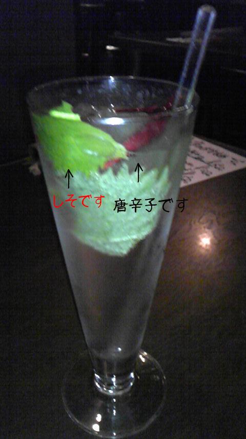 唐辛子としそのたんたかたん