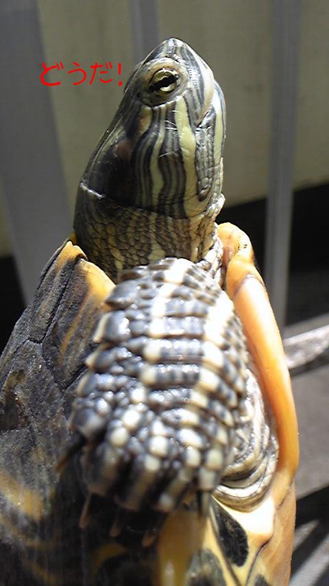 2010-06-21 14:52:38