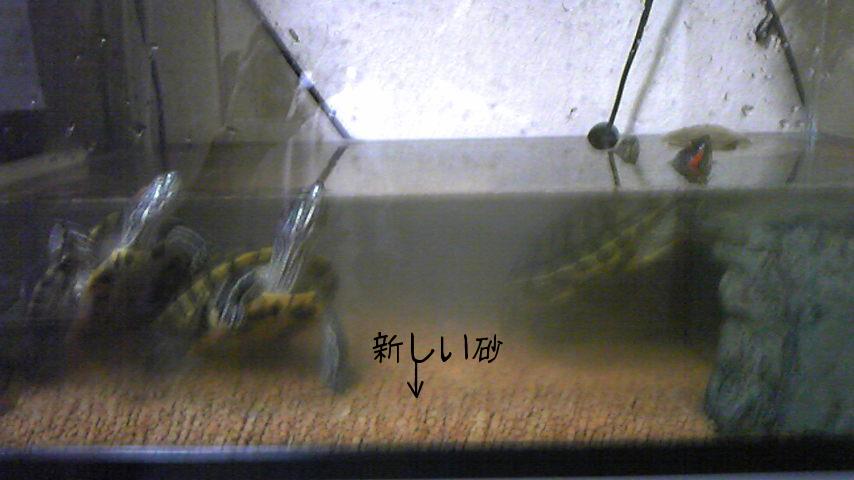 砂の交換