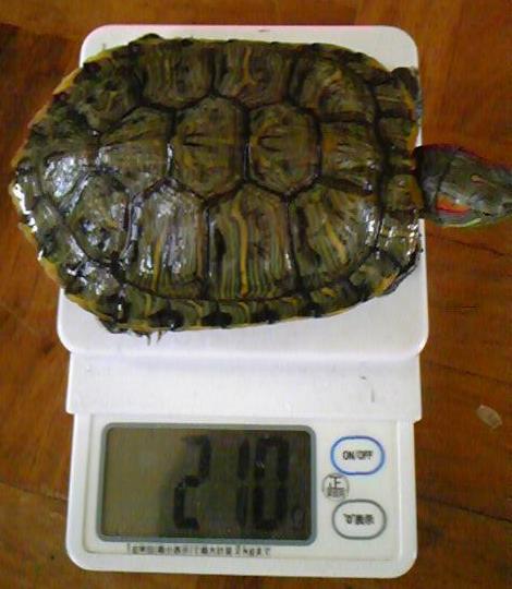 2010-05-21 16:56:45