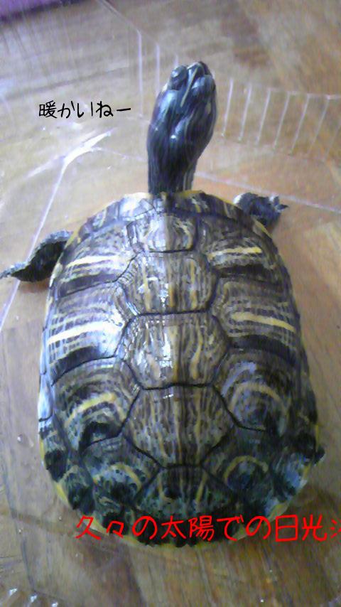 2010-04-21 14:03:03