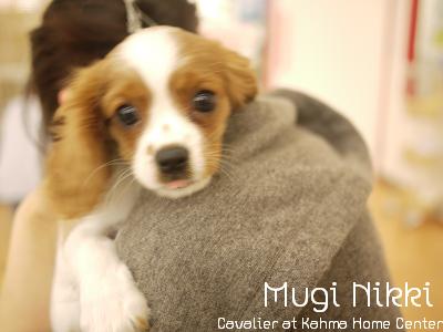 思い出したら、結婚式の日も雨。