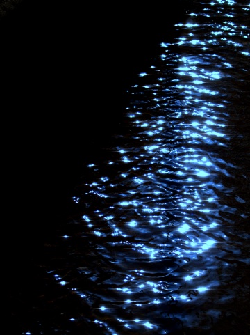 P4171777  青いキラキラ.jpg