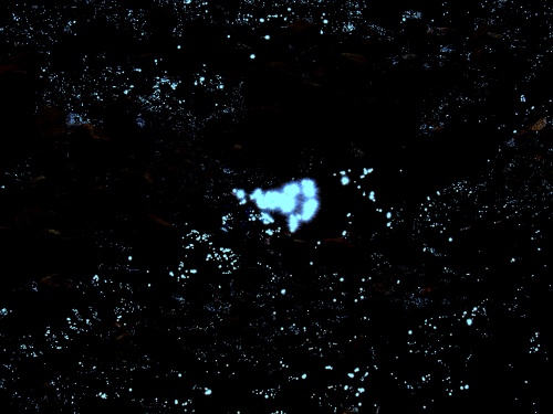 PA110974-1  石（青）.jpg