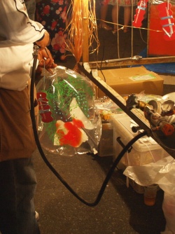 P8023641  風船　.jpg