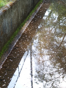 P5152075  水路.jpg