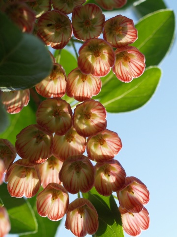 P5312222  下から.jpg