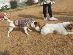 JFW淡路オフ会2012 012.JPG