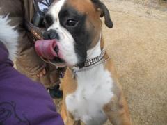 JFW淡路オフ会2012 018.JPG