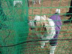 JFW淡路オフ会2012 016.JPG