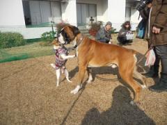 JFW淡路オフ会2012 031.JPG