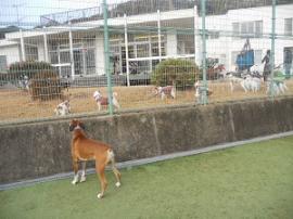 JFW淡路オフ会2012 024.JPG