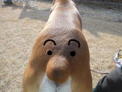 JFW淡路オフ会2012 028.JPG