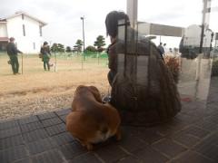 JFW淡路オフ会2012 025.JPG