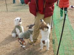 JFW淡路オフ会2012 026.JPG