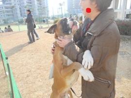 JFW淡路オフ会2012 029.JPG