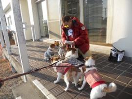 JFW淡路オフ会2012 033.JPG