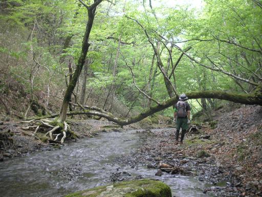 2011-06-04 安倍峠からサカサ川沿いに下る