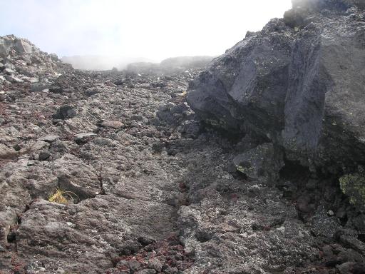 2011-07-02 主杖流し・中間部