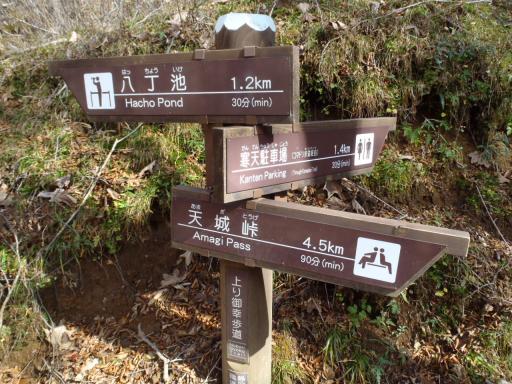 2011-11-13 コマドリ歩道分岐