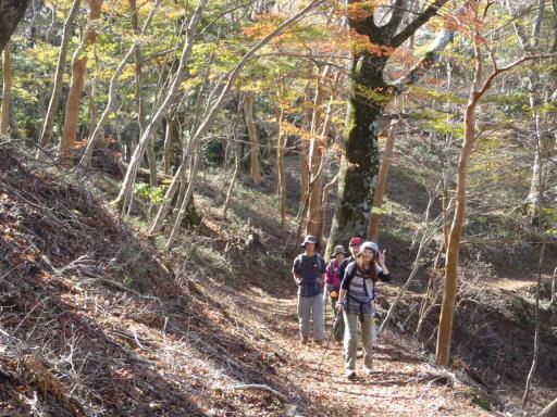 2011-11-13 水平歩道が続く