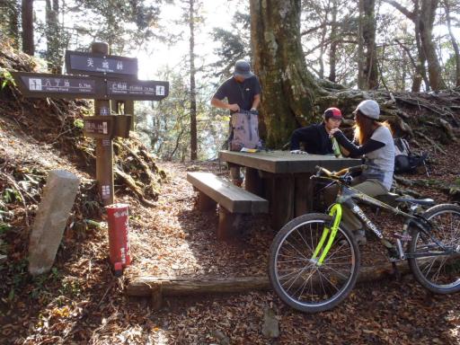 2011-11-13 天城峠