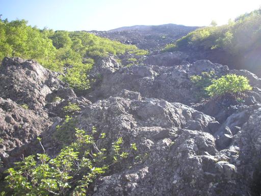 2011-07-02 主杖流しを見上げる