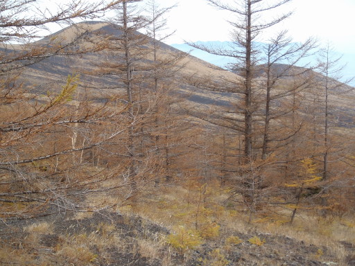 2011-10-30 四辻付近から双子山を眺める