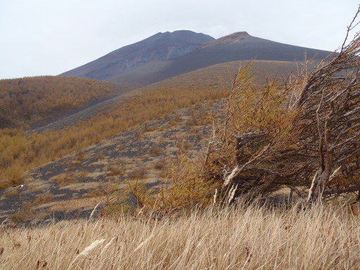 2011-10-30 小天狗塚から富士山頂を望む