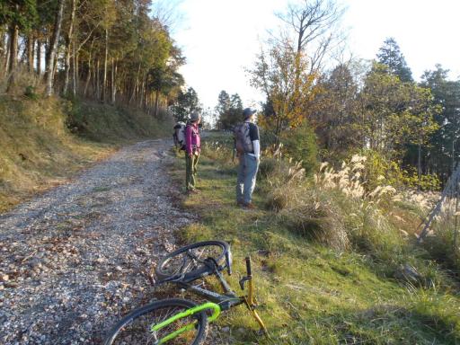2011-11-13 迂回した林道から夕陽を眺める
