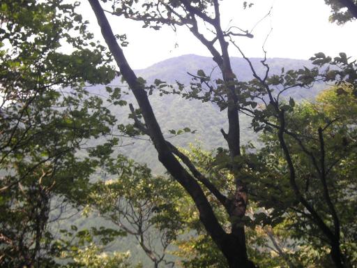 2011-07-16 西尾根の下りから仰ぐ湯野岳