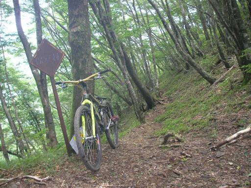 2011-07-16 真富士神社分岐
