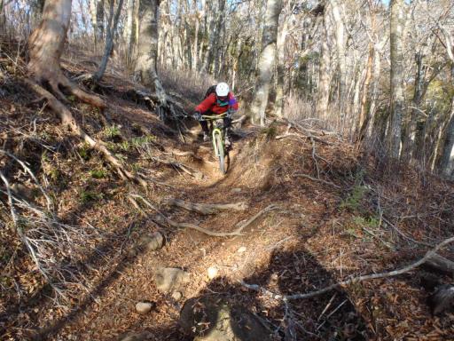 2011-11-13 快調な下り