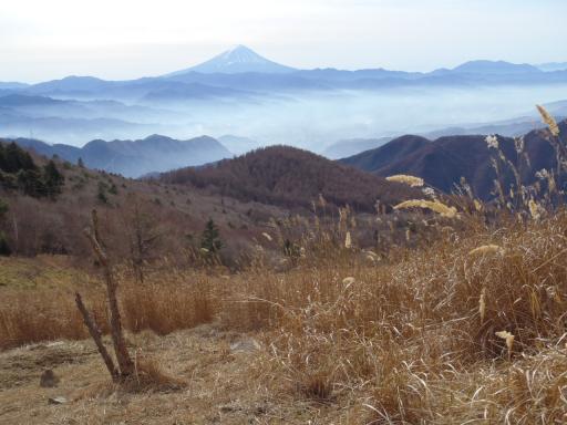 2011-11-27 扇平から富士山遠望