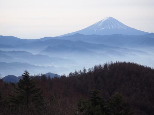 2011-11-27　国師ケ原～ 扇平から富士山を捉える