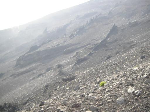 2011-07-02 十二薬師の奇岩群