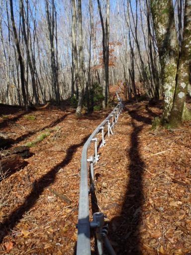 2011-11-20 途中からしばらくモノラックが伴走する