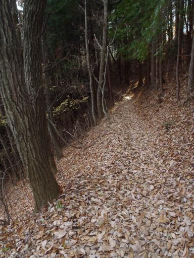 2011-11-27  落ち葉が積もる道満山からの下り