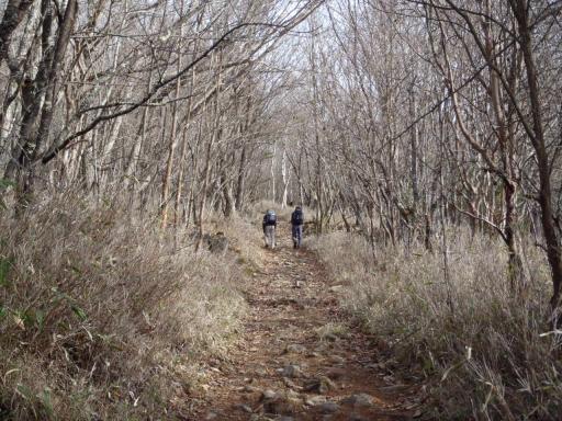 2011-11-27  国師ケ原から道満山に向かう