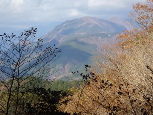 2011-11-26 山頂から真富士山遠望