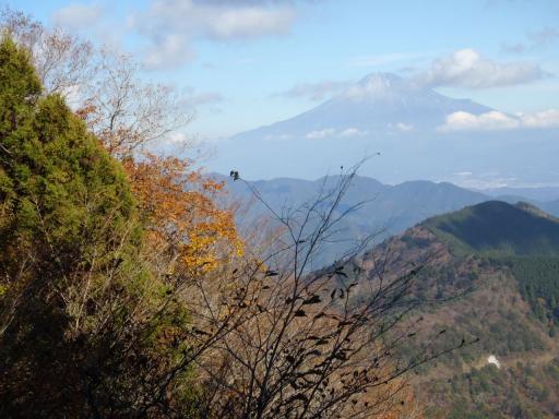 2011-11-26 山頂直下から富士山を遠望