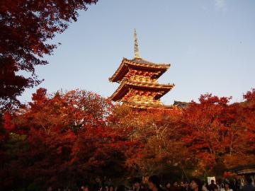 京都4