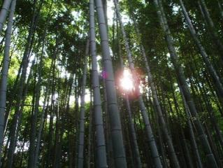 京都2