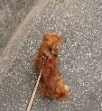 はやくぅ