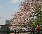 素敵な時間